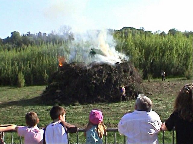 carnaval 2011 (148).jpg